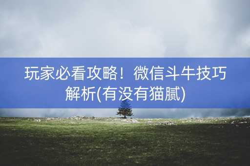 玩家必看攻略！微信斗牛技巧解析(有没有猫腻)