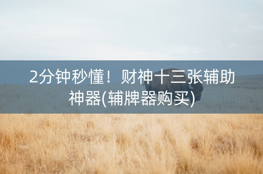 2分钟秒懂！财神十三张辅助神器(辅牌器购买)