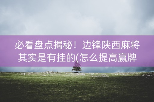 必看盘点揭秘！边锋陕西麻将其实是有挂的(怎么提高赢牌率)