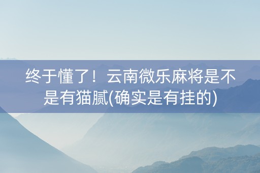 终于懂了！云南微乐麻将是不是有猫腻(确实是有挂的)