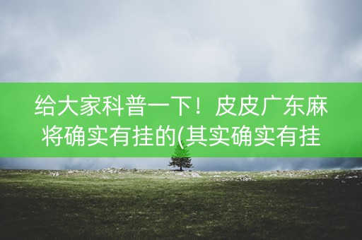 给大家科普一下！皮皮广东麻将确实有挂的(其实确实有挂)