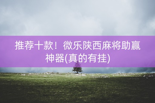 推荐十款！微乐陕西麻将助赢神器(真的有挂)