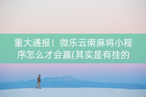 重大通报！微乐云南麻将小程序怎么才会赢(其实是有挂的)