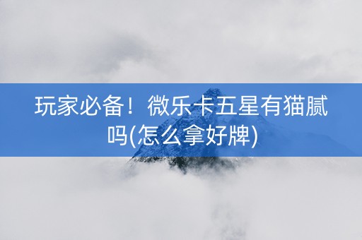 玩家必备！微乐卡五星有猫腻吗(怎么拿好牌)
