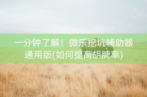 一分钟了解！微乐挖坑辅助器通用版(如何提高胡牌率)