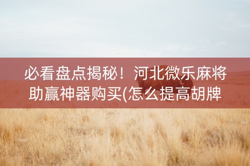 必看盘点揭秘！河北微乐麻将助赢神器购买(怎么提高胡牌率)
