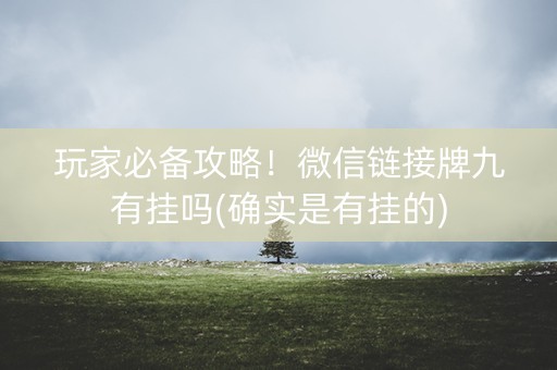 玩家必备攻略！微信链接牌九有挂吗(确实是有挂的)