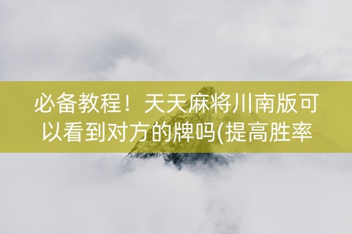 必备教程！天天麻将川南版可以看到对方的牌吗(提高胜率技巧)