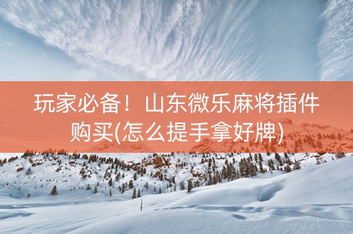玩家必备！山东微乐麻将插件购买(怎么提手拿好牌)