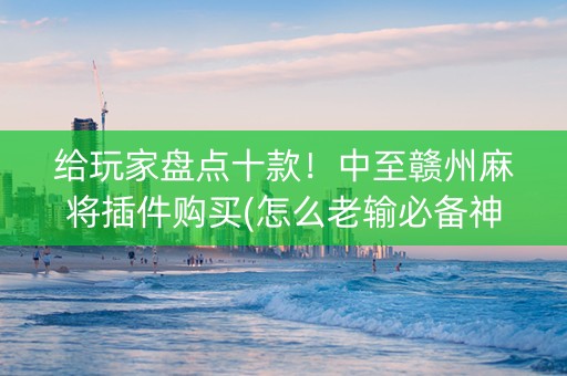 给玩家盘点十款！中至赣州麻将插件购买(怎么老输必备神器)