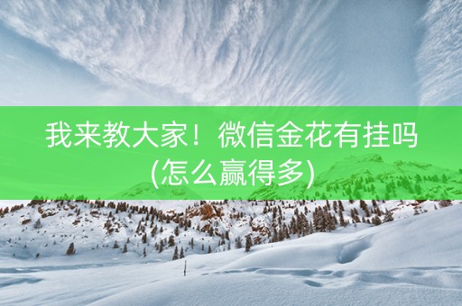 我来教大家！微信金花有挂吗(怎么赢得多)
