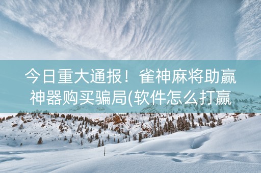 今日重大通报！雀神麻将助赢神器购买骗局(软件怎么打赢)