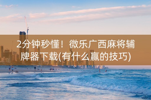 2分钟秒懂！微乐广西麻将辅牌器下载(有什么赢的技巧)