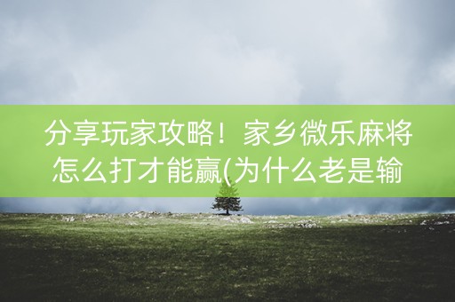 分享玩家攻略！家乡微乐麻将怎么打才能赢(为什么老是输呢)