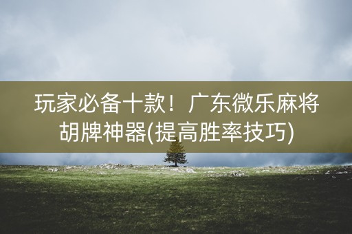 玩家必备十款！广东微乐麻将胡牌神器(提高胜率技巧)
