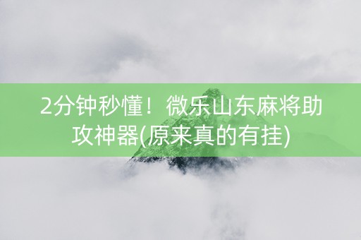 2分钟秒懂！微乐山东麻将助攻神器(原来真的有挂)