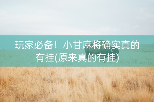 玩家必备！小甘麻将确实真的有挂(原来真的有挂)