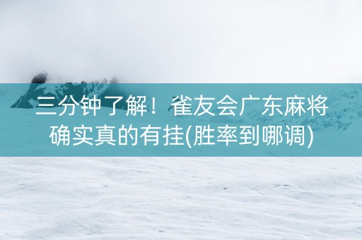 三分钟了解！雀友会广东麻将确实真的有挂(胜率到哪调)