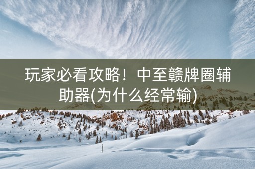 玩家必看攻略！中至赣牌圈辅助器(为什么经常输)