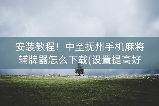 安装教程！中至抚州手机麻将辅牌器怎么下载(设置提高好牌几率)