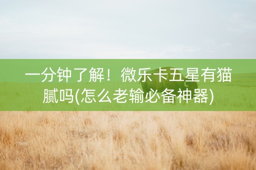 一分钟了解！微乐卡五星有猫腻吗(怎么老输必备神器)