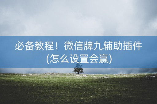 必备教程！微信牌九辅助插件(怎么设置会赢)