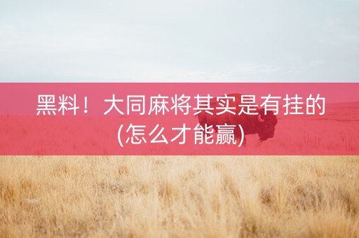 黑料！大同麻将其实是有挂的(怎么才能赢)