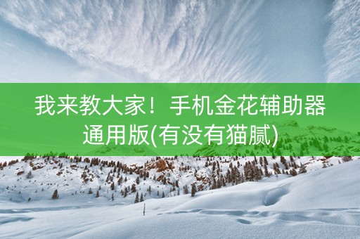 我来教大家！手机金花辅助器通用版(有没有猫腻)