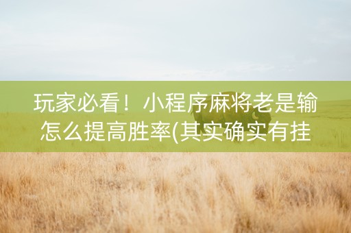 玩家必看！小程序麻将老是输怎么提高胜率(其实确实有挂)