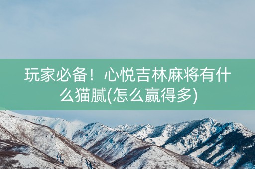 玩家必备！心悦吉林麻将有什么猫腻(怎么赢得多)