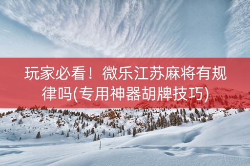 玩家必看！微乐江苏麻将有规律吗(专用神器胡牌技巧)