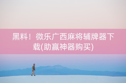 黑料！微乐广西麻将辅牌器下载(助赢神器购买)