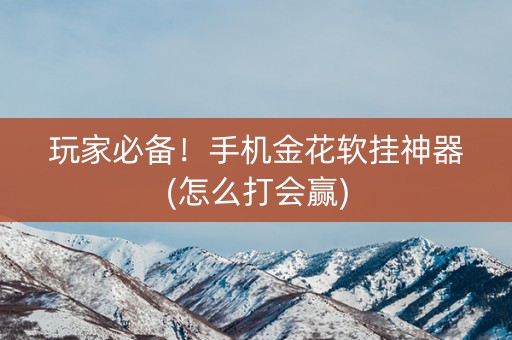 玩家必备！手机金花软挂神器(怎么打会赢)