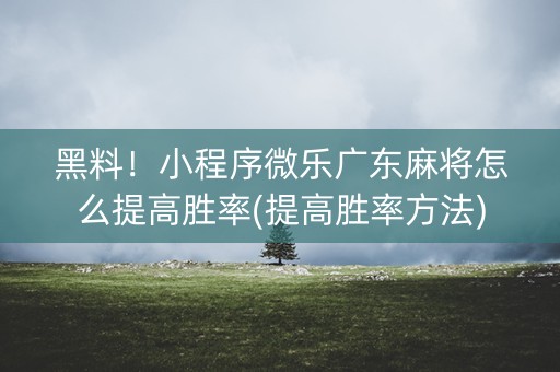 黑料！小程序微乐广东麻将怎么提高胜率(提高胜率方法)