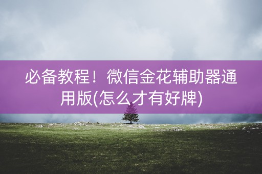 必备教程！微信金花辅助器通用版(怎么才有好牌)