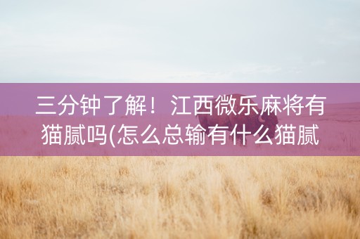 三分钟了解！江西微乐麻将有猫腻吗(怎么总输有什么猫腻)