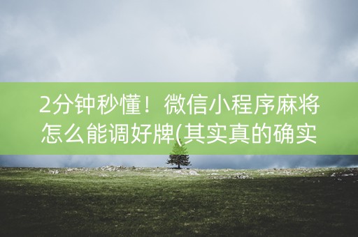 2分钟秒懂！微信小程序麻将怎么能调好牌(其实真的确实有挂)