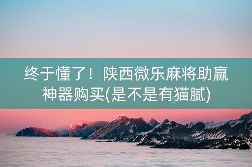 终于懂了！陕西微乐麻将助赢神器购买(是不是有猫腻)