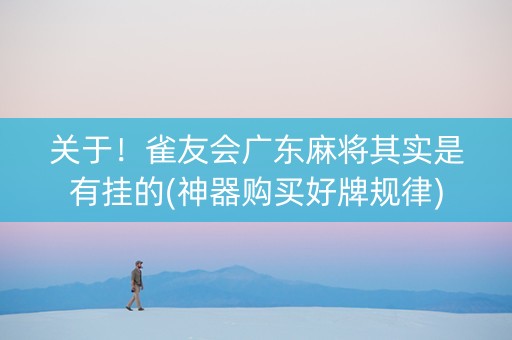 关于！雀友会广东麻将其实是有挂的(神器购买好牌规律)