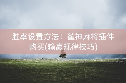 胜率设置方法！雀神麻将插件购买(输赢规律技巧)