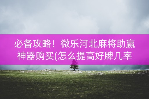 必备攻略！微乐河北麻将助赢神器购买(怎么提高好牌几率)