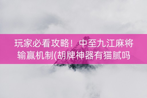 玩家必看攻略！中至九江麻将输赢机制(胡牌神器有猫腻吗)
