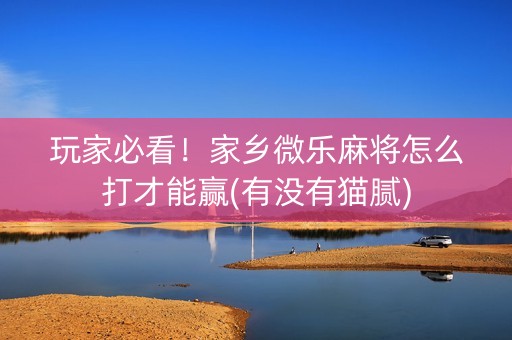 玩家必看！家乡微乐麻将怎么打才能赢(有没有猫腻)