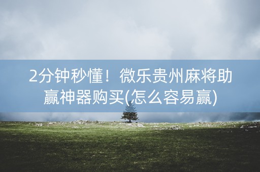 2分钟秒懂！微乐贵州麻将助赢神器购买(怎么容易赢)