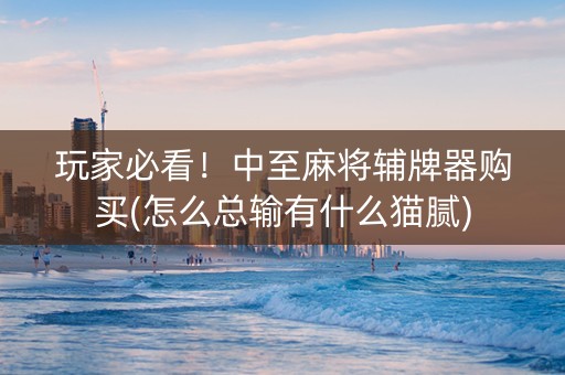 玩家必看！中至麻将辅牌器购买(怎么总输有什么猫腻)