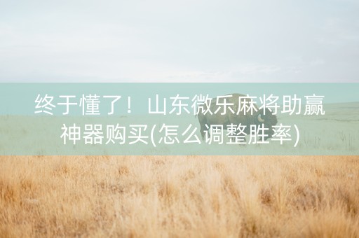 终于懂了！山东微乐麻将助赢神器购买(怎么调整胜率)