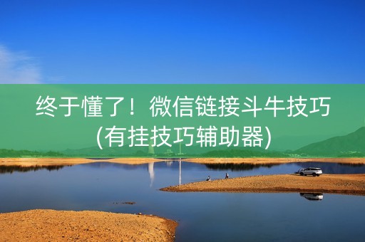 终于懂了！微信链接斗牛技巧(有挂技巧辅助器)