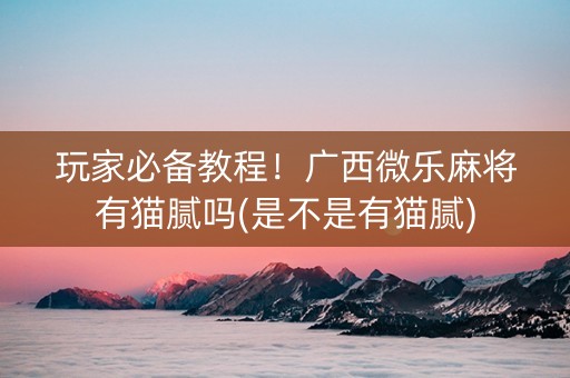 玩家必备教程！广西微乐麻将有猫腻吗(是不是有猫腻)