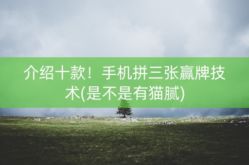 介绍十款！手机拼三张赢牌技术(是不是有猫腻)