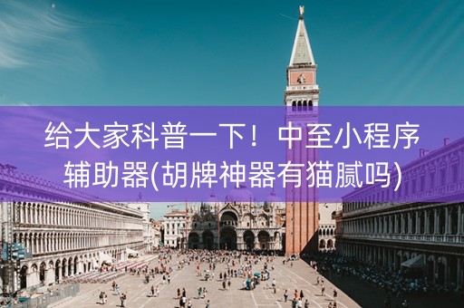 给大家科普一下！中至小程序辅助器(胡牌神器有猫腻吗)